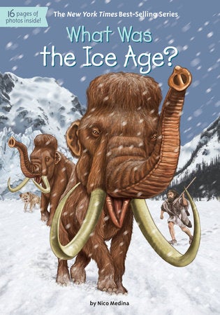 What Was the Ice Age? - Who HQ