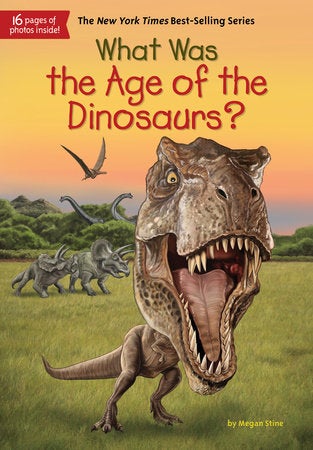 What Was the Age of the Dinosaurs? book cover